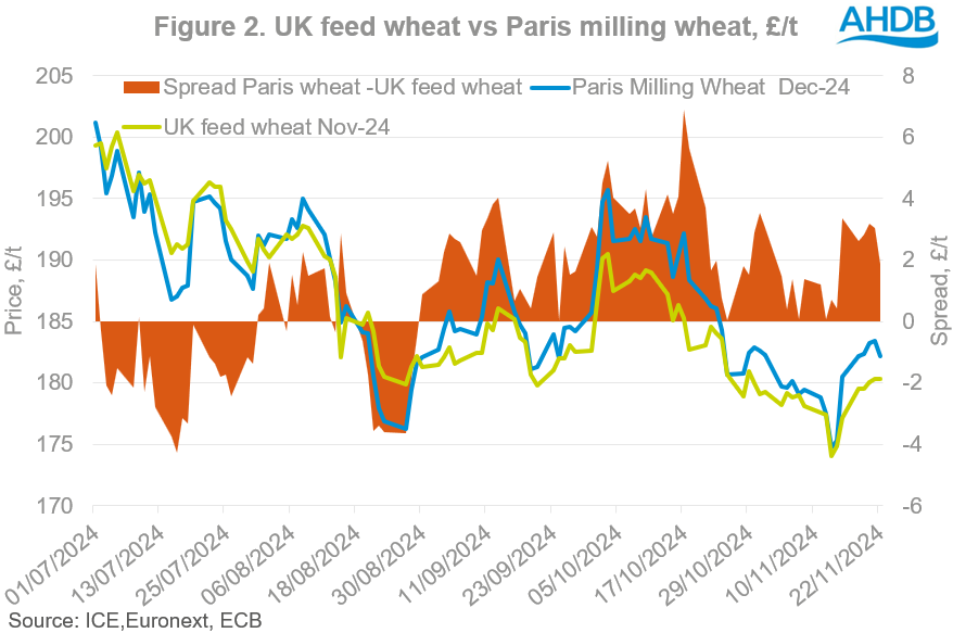 Chart 2 UK feed wheat vs Paris milling wheat 28 11 2024